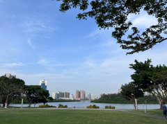 <b>乱老旧的围里社城中村</b>