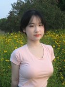 将其涉嫌犯罪问题移送查察机关依法审